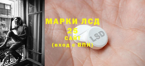 прущие крисы Горняк