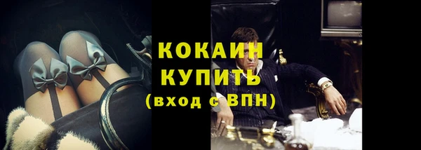 шишки Вяземский