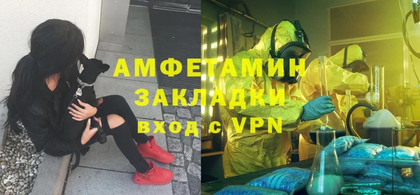 прущие крисы Горняк