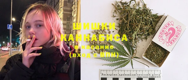 ГАЛЛЮЦИНОГЕННЫЕ ГРИБЫ Горно-Алтайск