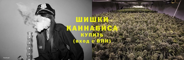 ГАЛЛЮЦИНОГЕННЫЕ ГРИБЫ Горно-Алтайск