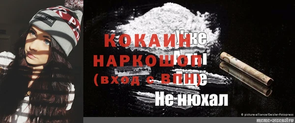 ГАЛЛЮЦИНОГЕННЫЕ ГРИБЫ Горно-Алтайск